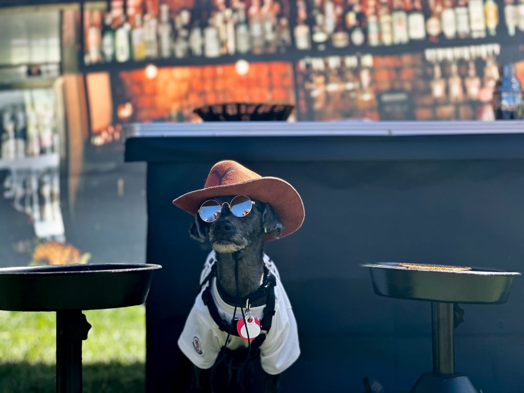 Events In Sedona AZ